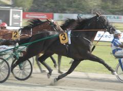 Orre-Ulf-1-yerjyeng2013