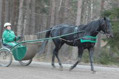 Panne De Moteur och Mette på träningsrundor igen. Foto; A.Lindblom/Travkompaniet