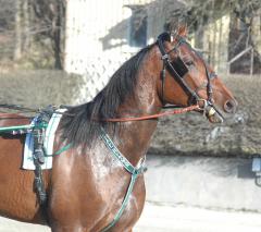 Ille_Faciet_140313-1