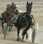 Komner060711