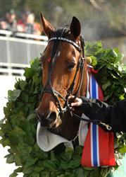 lord_capar_segerkrans_mh_080315_192849