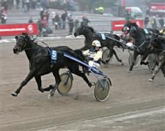 Finlands nye travidol Aslak och Petteri Joki kommer att ha publiken i ryggen under Finlandia-Ajo. Foto: Pekka Salonen