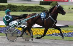 Stocken