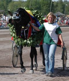 Jaded  - en av Travkompaniets hästar som befinner sig på toppen. Foto: Travkompaniet