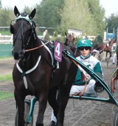 bild3