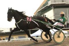 quarcio_du_chene_090507_113041