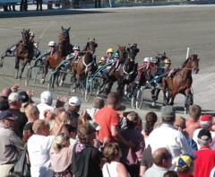 Elitloppsfinalen på väg in mot upploppet. Foto: Travkompaniet