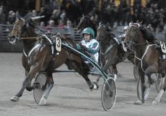 No Big Deal har vunnit tre segrar, så här långt på Solvalla i år. Foto: ALN