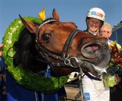 2009 tillhör Torvald Palema och Åke Svanstedt. Sveriges bästa travhäst vann Åby Stora Pris i två raka heat och blev på köpet Europamästare. Foto: Lars Jakobsson