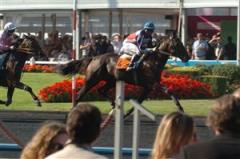 hottub_ledning_090927_19152