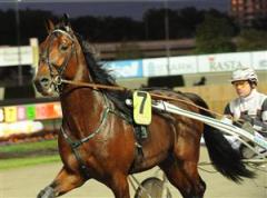 noras_bean_090927_191127