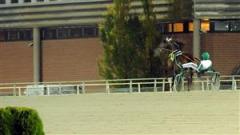 9-maharajah-galopperar-lj_091028_20437