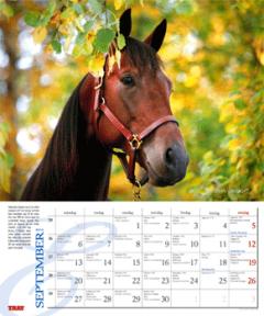 sept_2010_webb
