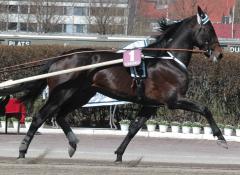 Jaded-Finlandia-Ajo-2008-7