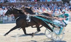 Jaded blir Sveriges snabbaste häst, genom alla tider då han vinner Elitloppsförsöket på 1.09,7!, Foto: C.Kärrstrand