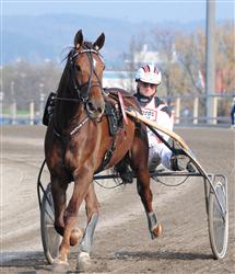 viola_silas_persson_fredrik_100508_203024