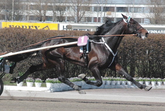Jaded-Finlandia-Ajo-2008-5