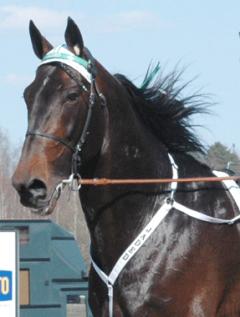 Jaded-Finlandia-Ajo-2008-3