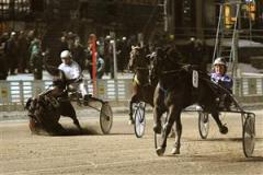 Jim Fricks h&auml;st gick omkull och han kastades till marken. Foto: Maria Holm&eacute;n