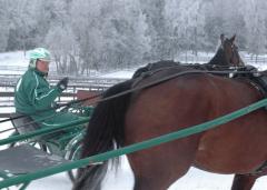 Vintern har bjudit på kyla, snö och optimala förhållanden. Foto: Travkompaniet