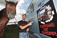 Taggade för Elitloppet. Ralf Karlstedts Prince Tagg har folket i ryggen när de på söndag startar i Elitloppet på Solvalla. Foto: Lars Jakobsson