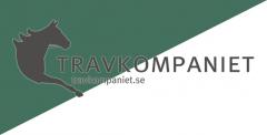 Travkomp-vimpel-low