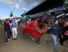 Titelförsvararen Brioni är klar för Elitloppet.
