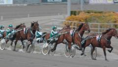Premielopp-okt-12-2