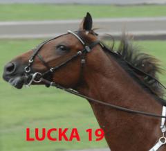 lUCKA-19