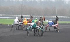 Positiv en bit bakom. Maharajah och Örjan Kihlström slutade nia i Prix de Belgique. Foto: Thomas Blomqvist Foto av Kanal 75