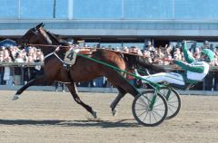 Maharajah flyger över mål som överlägsen vinnare i Olympiatravet. Foto; C. Kärrstrand