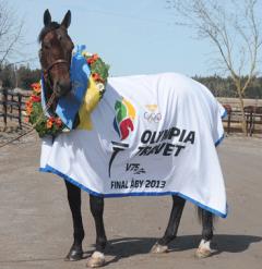 Maharajah, Olympisk mästare. Foto; C. Kärrstrand