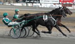 Panne-1