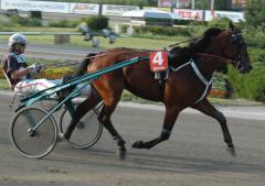 Foto: Annika Lindblom