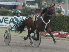 Foto: Annika Lindblom