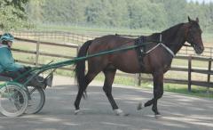 Marre-130821