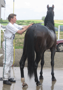 shergar_ron