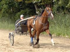 virgill_boko_607_071022_214131