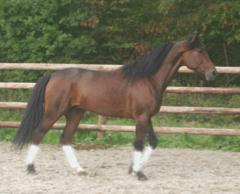 Shergar-Grobois061021-7