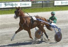 redtop_johansson_aln_071129_173329