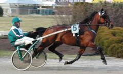 malte1