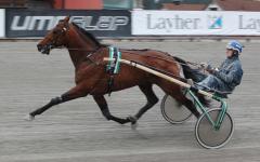 Jocose är laddad inför sin årsdebut.Foto: Annika Lindblom