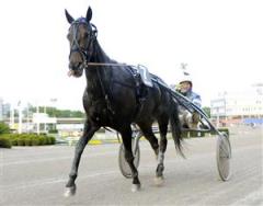 plantagenet_segerdef_lj_080517_13231