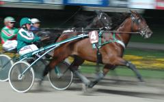 Malte-