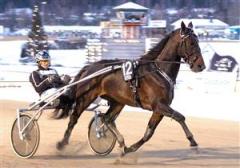 adrianchip_bergh_081127_211323