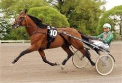 Vinner Prix du Luxembourg på lördag? Lindqvist sätter tipsettan för Finders Keepers och Åke Svanstedt. Foto: Lars Jakobsson