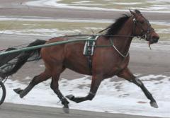 Malt-Whisky-090305-1