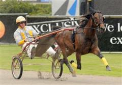 buck_i_st_pat_jobb_lj_090528_11490