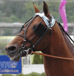 Jocose-080517-1