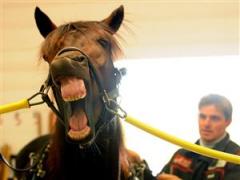 reven-pa-hugget-lj_090630_155525